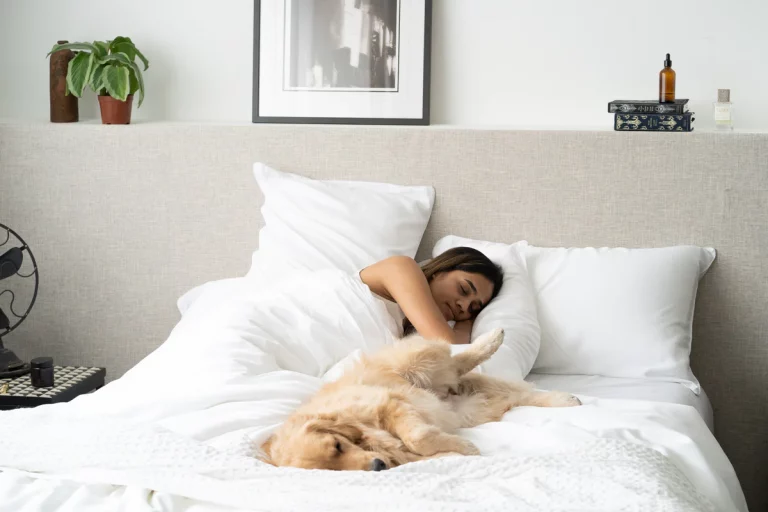 luxury cotton bedding