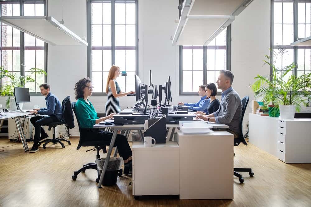 Enhancing Comfort and Productivity: The Role of Lighting and Acoustics in Office Design
