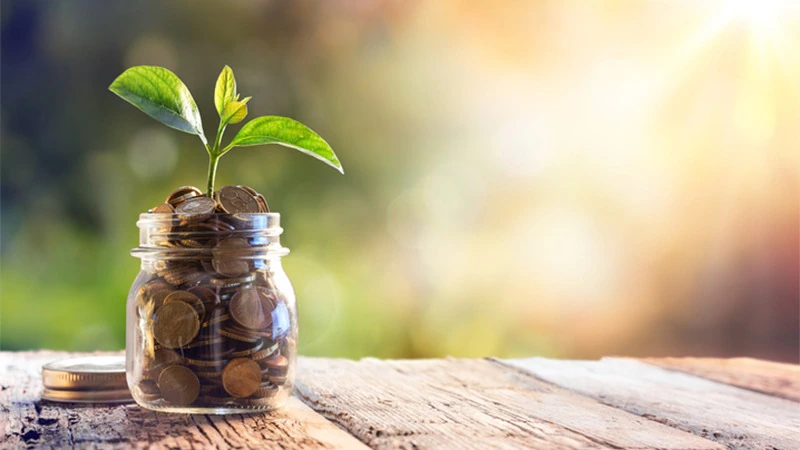 Unveiling the Hidden Treasure of PPI Refunds